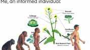 Creationists evolution is just a hoax! They cannot even find the missing link! Me an informed individual imgflip.com Cabbage terminn af hur Kal Le Broccoll Fiouer buds/stems Cauliflower Wild Mustard Plant (Hrassina oeocea