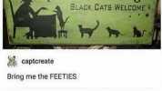 Daw Readings BLACK CATS WELCOME captcreate Bring me the FEETIES Swampseer Lemme read them beans