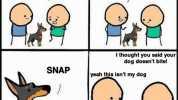 does your dog bite No T thought you said your dog doesnt bite! SNAP yeah this isnt my dog9 made with memaic