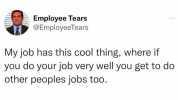 Employee Tears @EmployeeTears My job has this cool thing where if you do your job very well you get to doo other peoples jobs too.