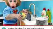ers 205 Monkey Baby Bon Bon washes dishes in the kitchen and Cooking chocolate for the puppy Animal HT 864 B görüntüleme. 12 gün önce