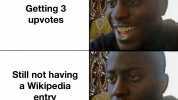 Getting 3 upvotes Still not having a Wikipedia entry made with mematic