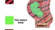 Her body The babys body Saddam Hussein