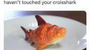 hey babe is everything ok you havent touched your croisshark