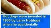 Hot dogs were invented in 1936 by Larry Hotdogs when he accidentally dropped a bag of prize- winning pig buttholes into his Dick Shaper Machine.