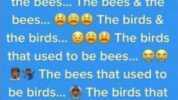 Ifeel bad for parents nowadays. You have to be able to explain the birds & the bees... The bees & the bees... The birds& the birds... The birds that used to be bees... 9 The bees that used to be birds. The birds that look like bee