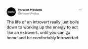 Introvert Problems introvert problems @IntrovertProbss The life of an introvert really just boils down to working up the energy to act like an extrovert until you can go home and be comfortably introverted.