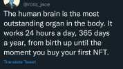 Jace @ross_jace The human brain is the most outstanding organ in the body. It works 24 hours a day 365 days a year from birth up until the moment you buy your first NFT. Translate Tweet 1605 17 Jan. 23