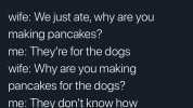 Josh @iwearaonesie wife We just ate why are you making pancakes me Theyre for the dogs wife Why are you making pancakes for the dogs me They dont know how 705 PM . 9/14/19- Twitter for iPhone