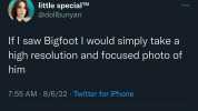 little specialTM @dollbunyan If I saw Bigfoot I would simply take a high resolution and focused photo of him 755 AM 8/6/22.Twitter for iPhone 7462 Retweets 229 Quote Tweets 119K Likes