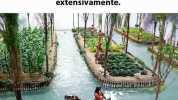 Los aztecas una vez alimentaron a 200 mil personas en tierras pantanosas inarables creando jardines flotantes que cultivaron extensivamente.