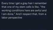 Melissa Florer-Bixler @MelissaFloBix Every time I get a gray hair I remember that one of my stem cells is like the working conditions here are awful and lam done. And I respect that from a labor perspective Melissa Florer-Bixler @