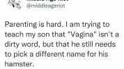 Middle Age Riot @middleageriot Parenting is hard. I am trying to teach my son that Vagina isnt a dirty word but that he still needs to pick a different name for his hamster