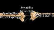 My ability tofunction Doubleshot Coffee Expresso Melatonin