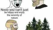 Nooo yoU cant just be happy and enjoy the serenity of nature hell yeah coniferous trees