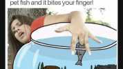 r/Funnymemes 8h Hahaha when youre playing with your pet fish and it bites your finger! 2270 57 Join 1 Share