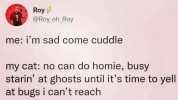 Roy @Roy oh_Roy me im sad come cuddle my cat no can do homie busy starin at ghosts until its time to yell at bugs i cant reach