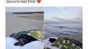 Satan @s&n something wholesome fora change Man takes his terminally ill dog to see the sea one last time 1106 PM - 31 May 23 - 1.6M Views 3245 Retweets 182 Quotes 76K Likes