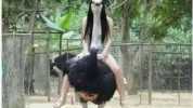 She asked hubby to take a photo of her on Ostrich. After reaching home she didnt talk to him for days.