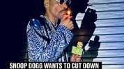 SNOOP DOGG WANTS TO CUT DOWN HOW MUCH WEED HE SMOKES NOW BIB LE