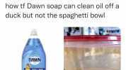 solé @layxsnv how tf Dawn soap can clean oil off a duck but not the spaghetti bowl DAWN SOLESS SCRUREN 40 ORIGINAL FL OZ sCENT