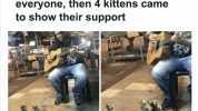 Street singer was ignored by everyone then 4 kittens came to show their support RespectfulMemes Report