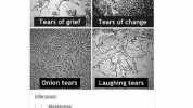 Tears of grief Tears of change Onion tears Laughing tears inferrance blazepress These are pictures of different dried human tears. Giet laughter onion and change Each type has a different chemical makeup which makes them appear di