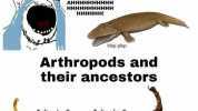 Tetrapods and their ancestorsS YoU ruiNED MYlife AHHHHHHHHHH HHHHHHHHHHH HHHHHH! blop plop Arthropods and their ancestorss *clic clac* *clic clac*
