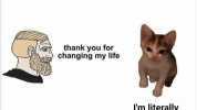 thank you for changing my life Im literally just a cat