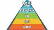 THE MODERN SOCIO SEXUAL HEIRACHY Gork Li Driver Apha/ Sigma Beta Dela Gamma Omega