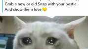 TODA TEAM SNAPCHAT O Hold to replay Celebrate Friendship Day on Snapchat 7 Grab a new or old Snap with your bestie And show them love Where friends