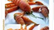 Vegans be like Omg I had a vegan lobster and I couldnt even tell the difference!