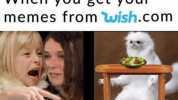 When you get your memes from wish.com 
