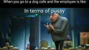 When you go to a dog cafe and the employee is like In terms of pussy We gotno pussy