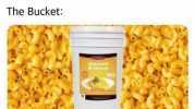Wife what do you want for dinner Me bring me the bucket Wife the bucket The Bucket Macaroni &Cheese 180 MASHABLE 2 MIN READ Costco is now selling a 27-pound bucket of macaroni and cheese