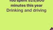 You spent 525600 minutes this year Drinking and driving