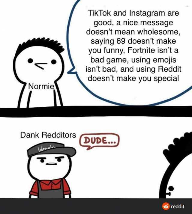 TikTok and Instagram are good a nice message doesnt mean wholesome saying 69 doesnt make you funny Fortnite isnt a bad game using emojis isnt bad and using Reddit doesnt make you special Normie Dank Reditors (DUDE.. Wend reddit