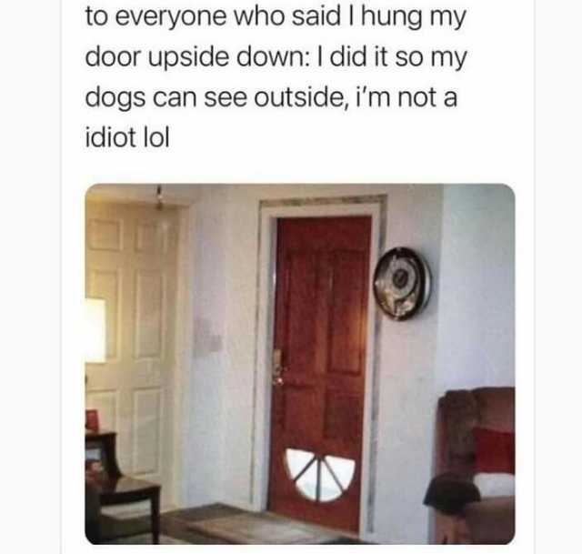 to everyone who said Thung my door upside down I did it so my dogs can see outside im not a idiot lol