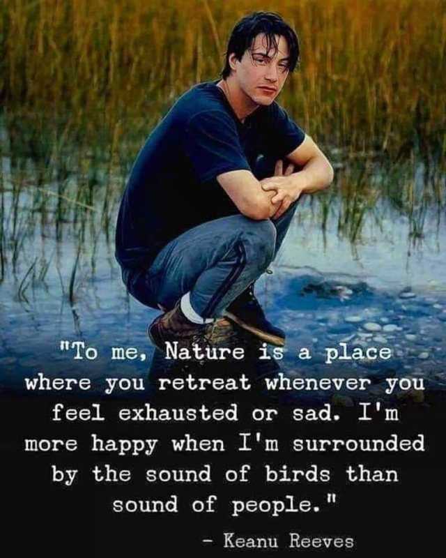 To me Nature is a place where you retreat whenever you feel exhausted or sad. Im more happy when Im surrounded by the sound of birds than sound of people. Keanu Reeves 