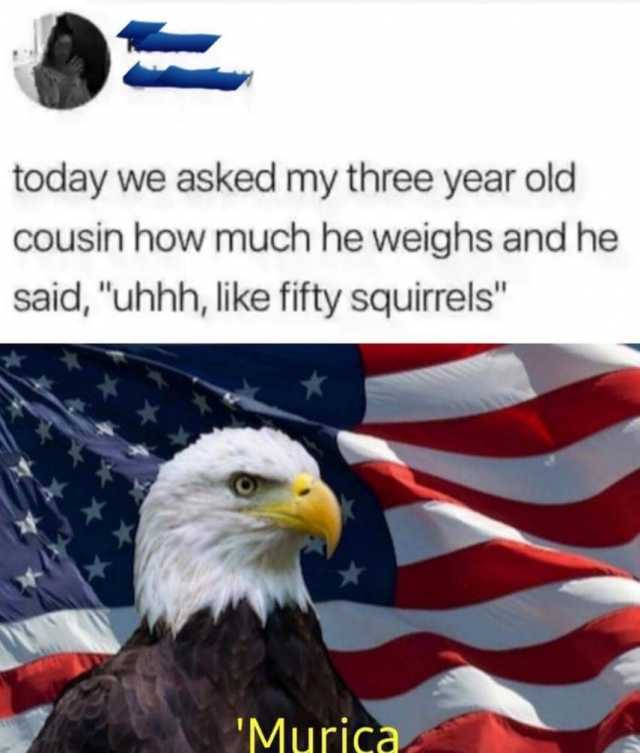 today we asked my three year old cousin how much he weighs and he said uhhh like fifty squirrels Murica 