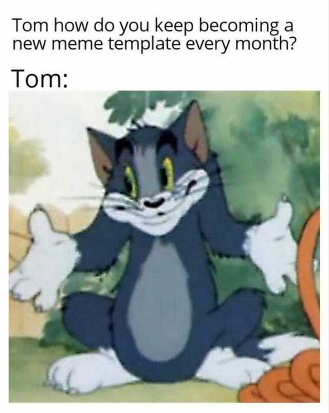 Dopl3r Com Memes Tom How Do You Keep Becoming A New Meme Template Every Month Tom Make they're the same picture memes or upload your own images to make custom memes. meme template every month tom