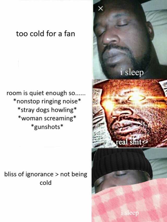 too cold for a fan room is quiet enough so... *nonstop ringing noise* *stray dogs howling* *woman screaming* *gunshots* bliss of ignorance not being cold X isleep real shit isleep