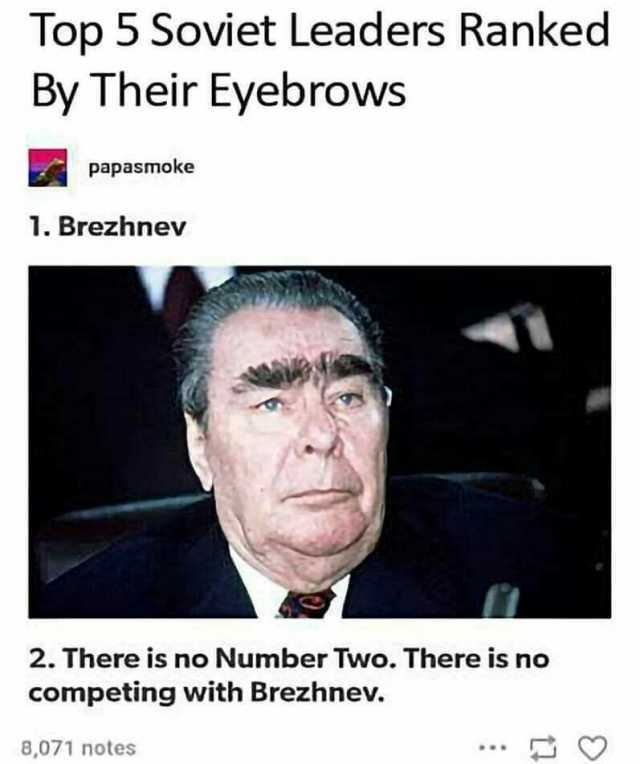 Top 5 Soviet Leaders Ranked By Their Eyebrows papasmoke 1. Brezhnev 2. There is no Number Two. There is no competing with Brezhnev. 8071 notes