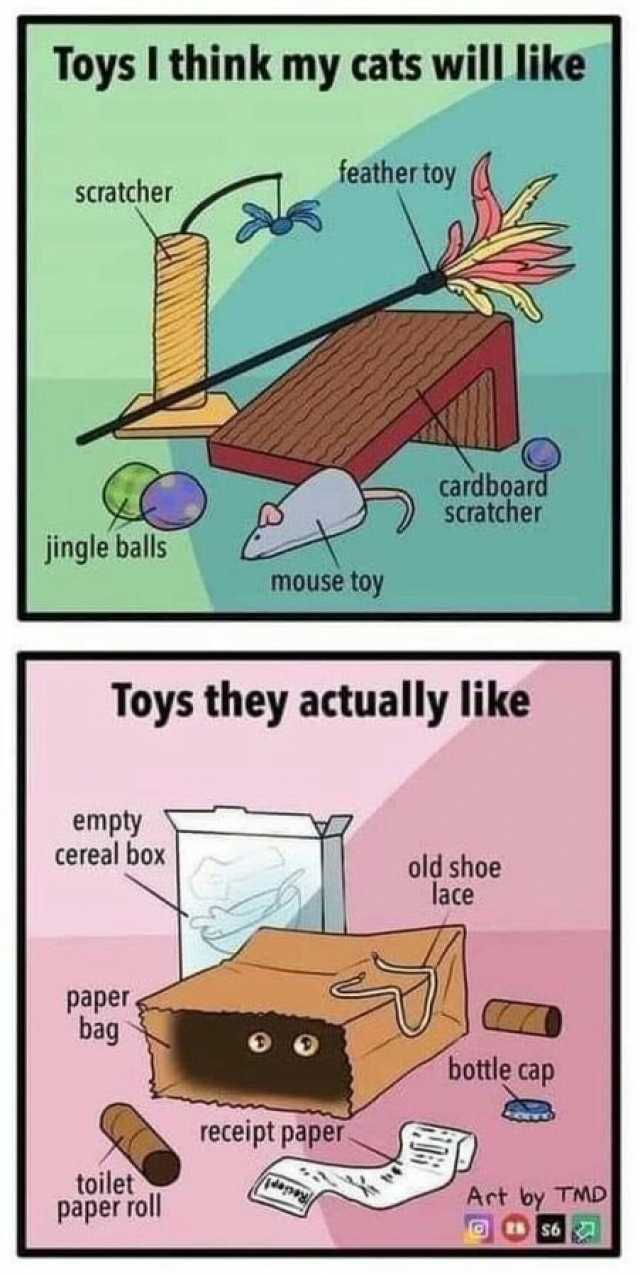 Toys I think my cats will like feather toy scratcher cardboard Scratcher jingle balls mouse toy Toys they actually like empty cereal box old shoe lace paper bag bottle cap receipt paper toilet paper roll Art by TMD