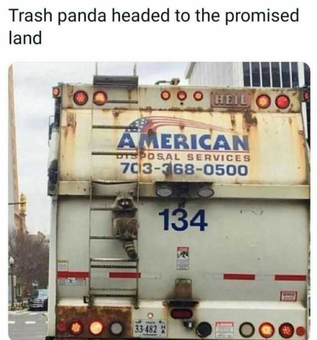Trash panda headed to the promised land o oo HEIL OO AMERICAN TPOSAL SERVICES 7ci3-368-0500 134 33-482 O00