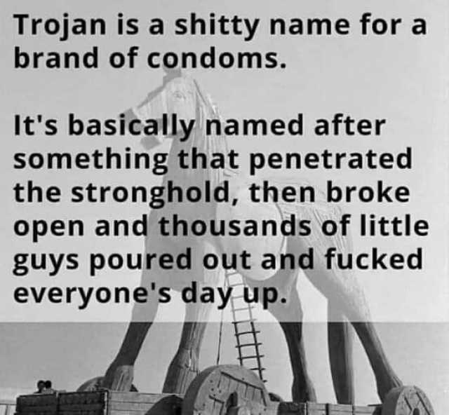 Trojan is a shitty name for a brand of condomns. Its basically named after something that penetrated the stronghold then broke open and thousands of little guys poured out and fucked everyones day up.