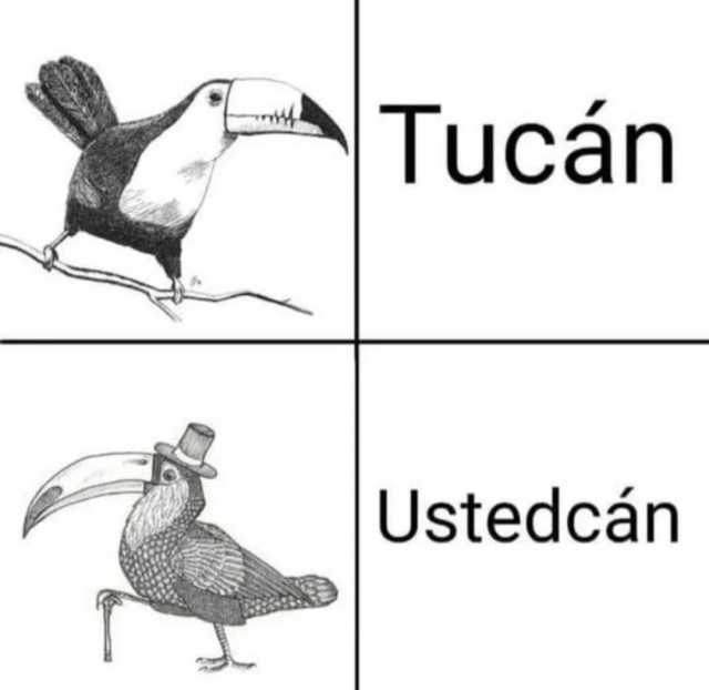 Tucán Ustedcán