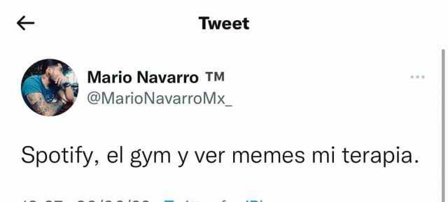 Tweet Mario Navarro TM @MarioNavarro Mx_ Spotify el gym y ver memes mi terapia.
