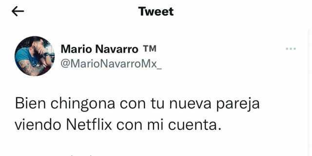 Tweet Mario Navarro TM @MarioNavarroMx_ Bien chingona con tu nueva pareja viendo Netflix con mi cuenta.