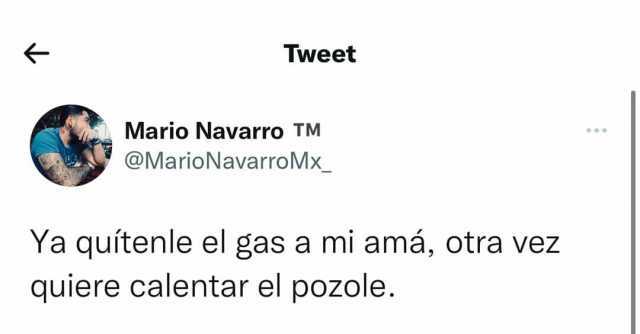 Tweet Mario Navarro TM @MarioNavarroMx Ya quítenle el gas a mi amá otra vez quiere calentar el pozole.